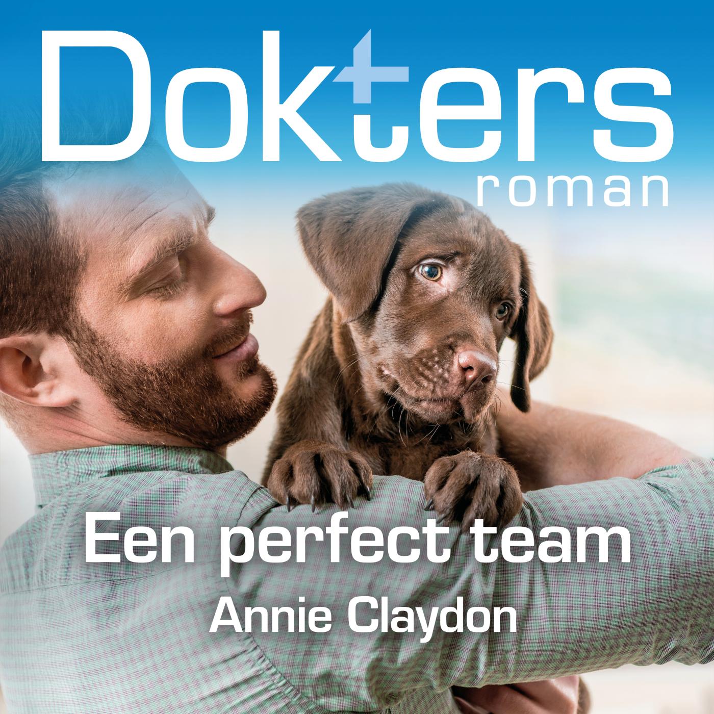 Omslag van Een perfect team