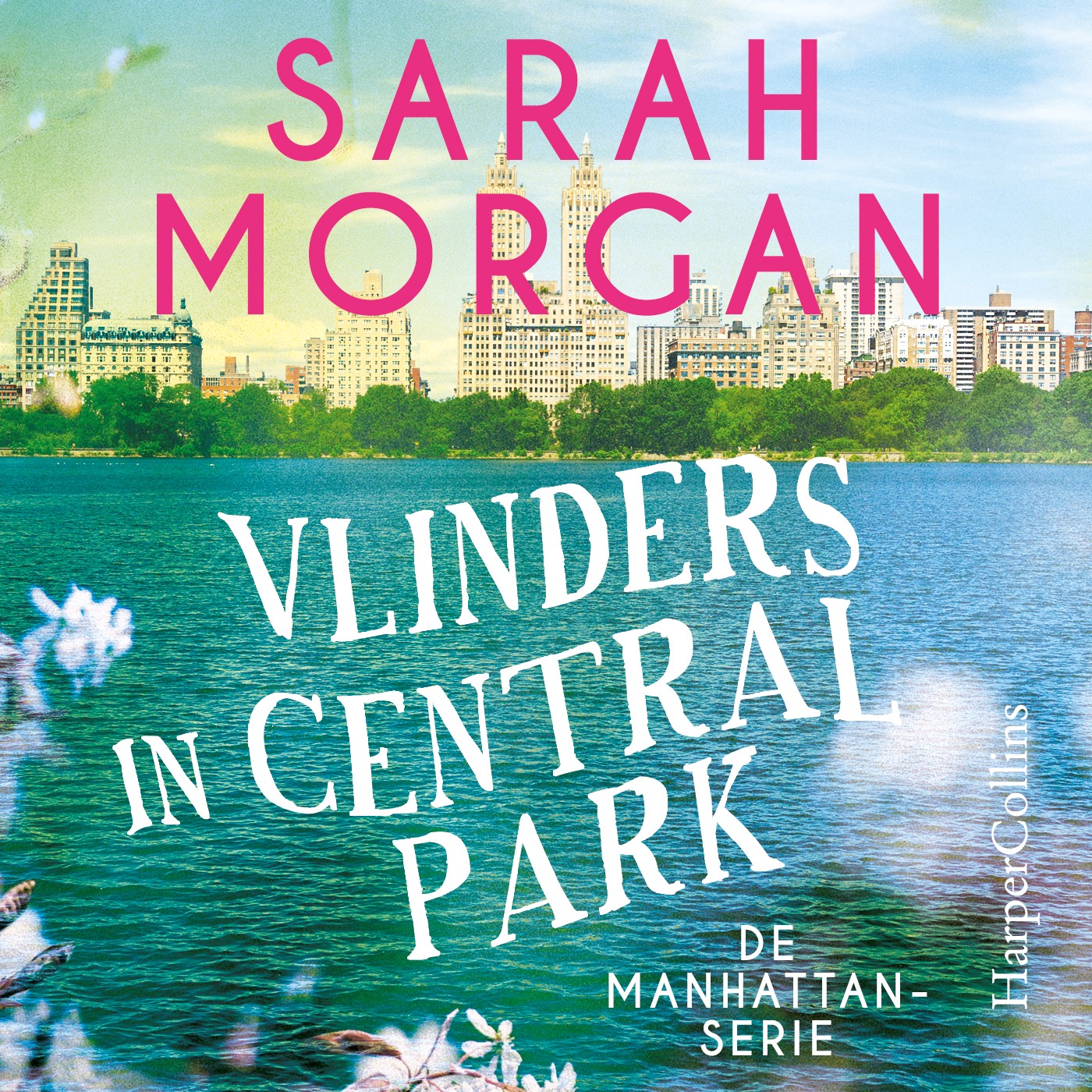 Omslag van Vlinders in Central Park