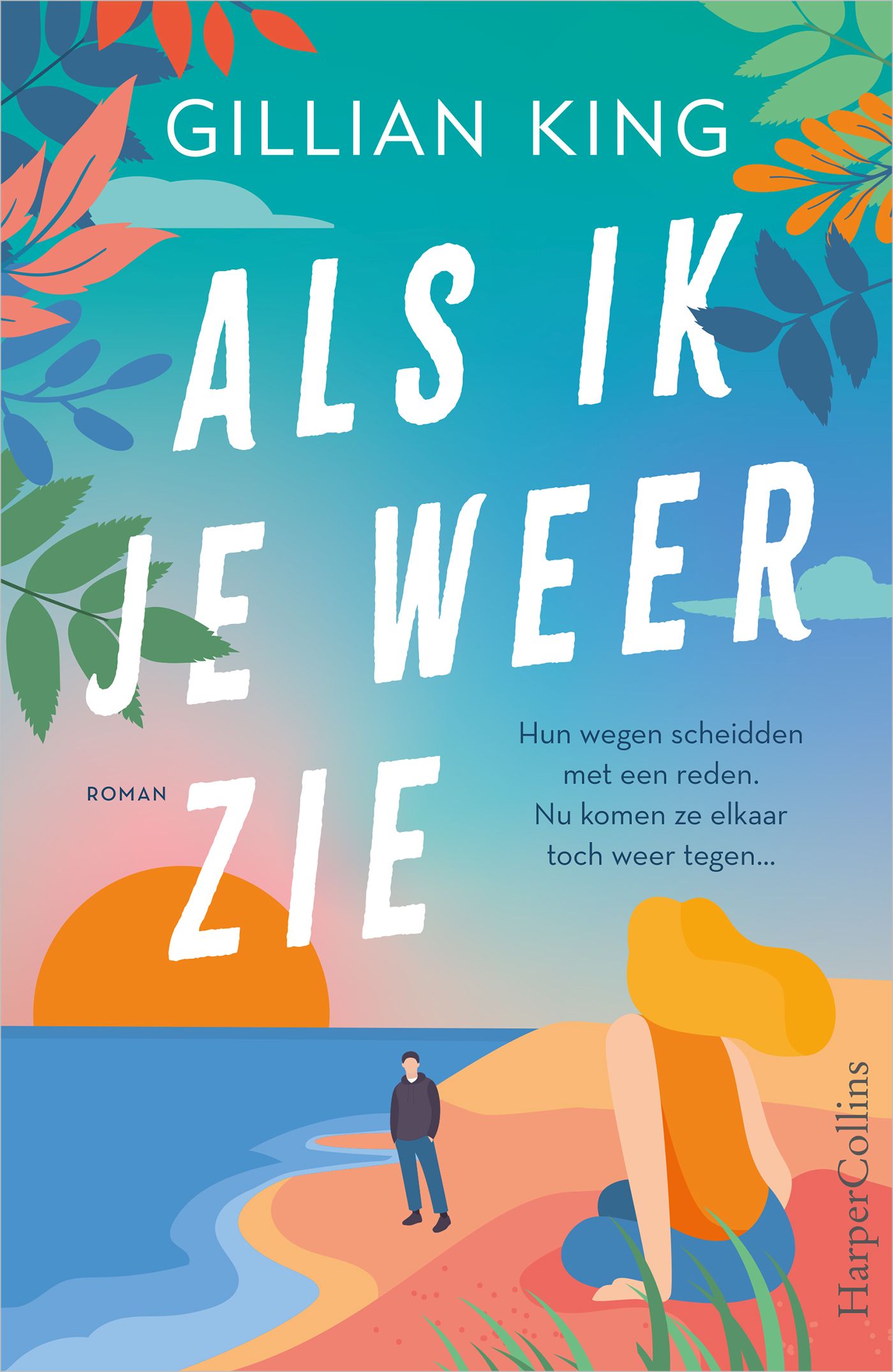 Omslag van Als ik je weer zie