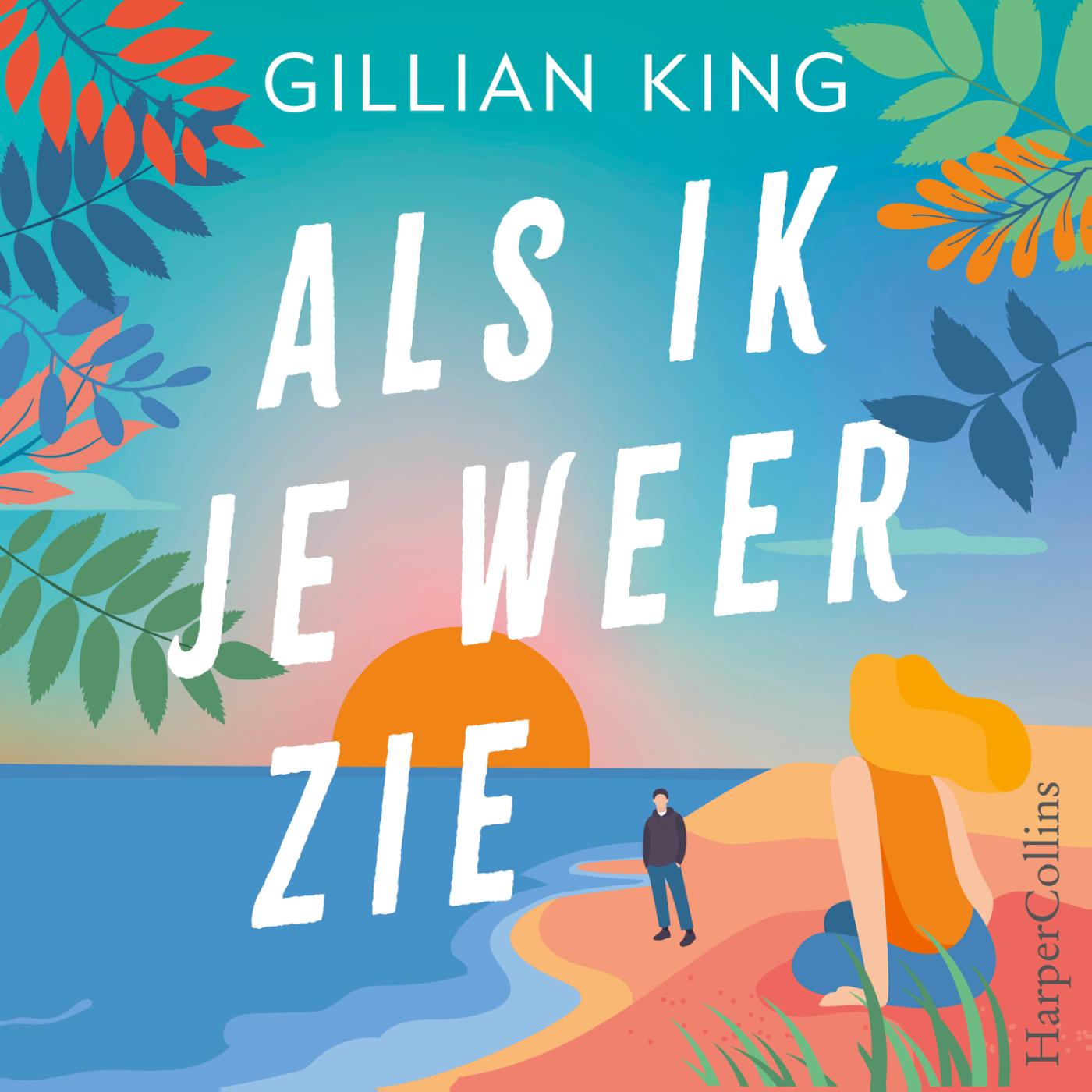 Omslag van Als ik je weer zie
