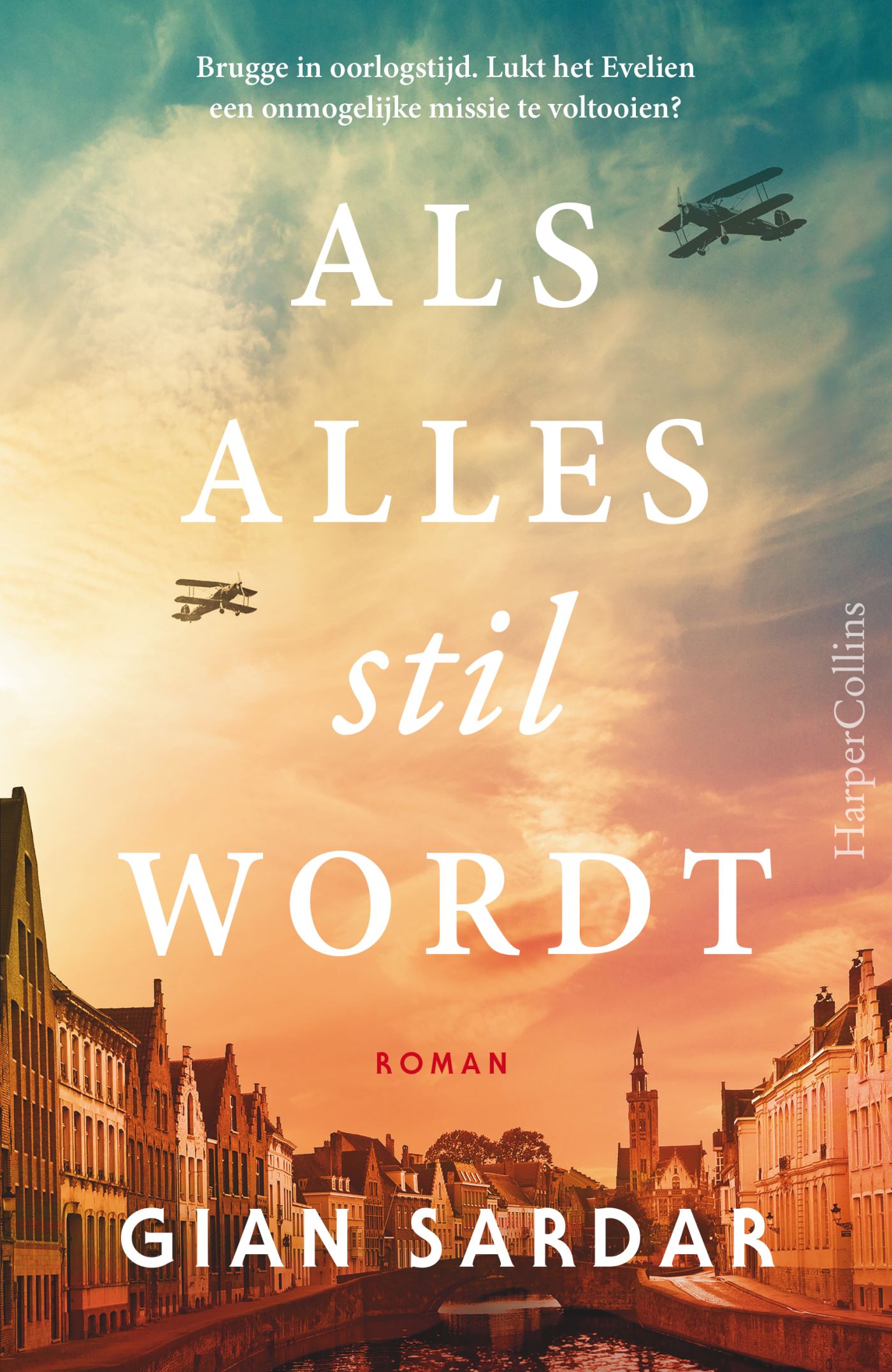 Omslag van Als alles stil wordt