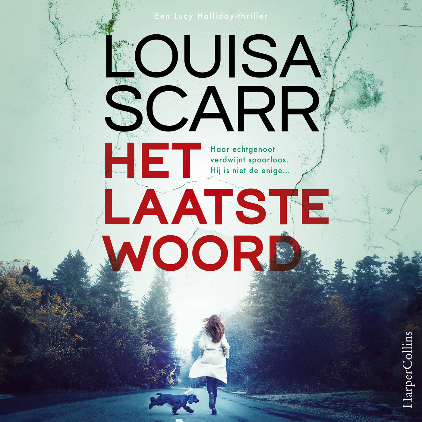 Omslag van Het laatste woord