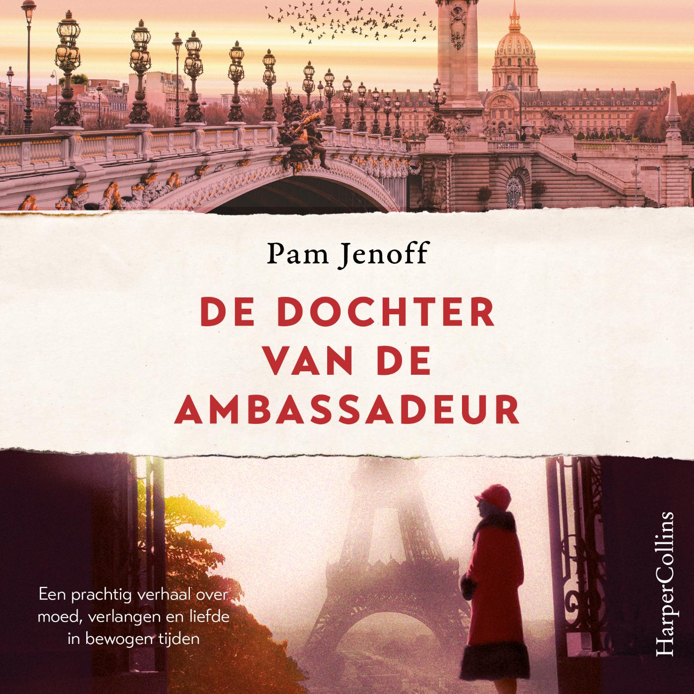 Omslag van De dochter van de ambassadeur