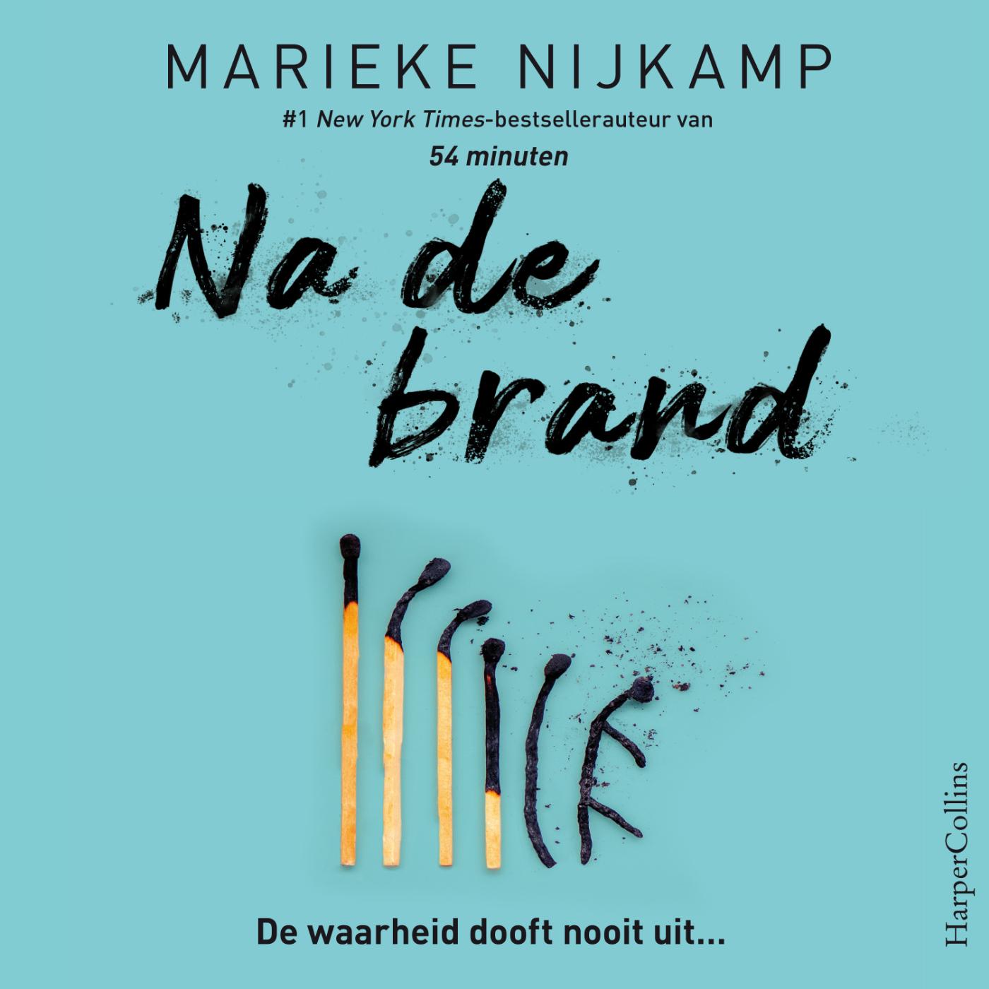 Omslag van Na de brand