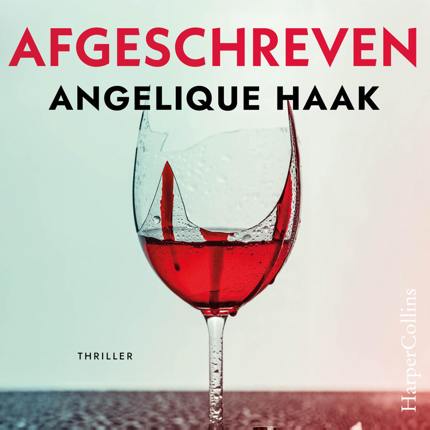 Omslag van Afgeschreven