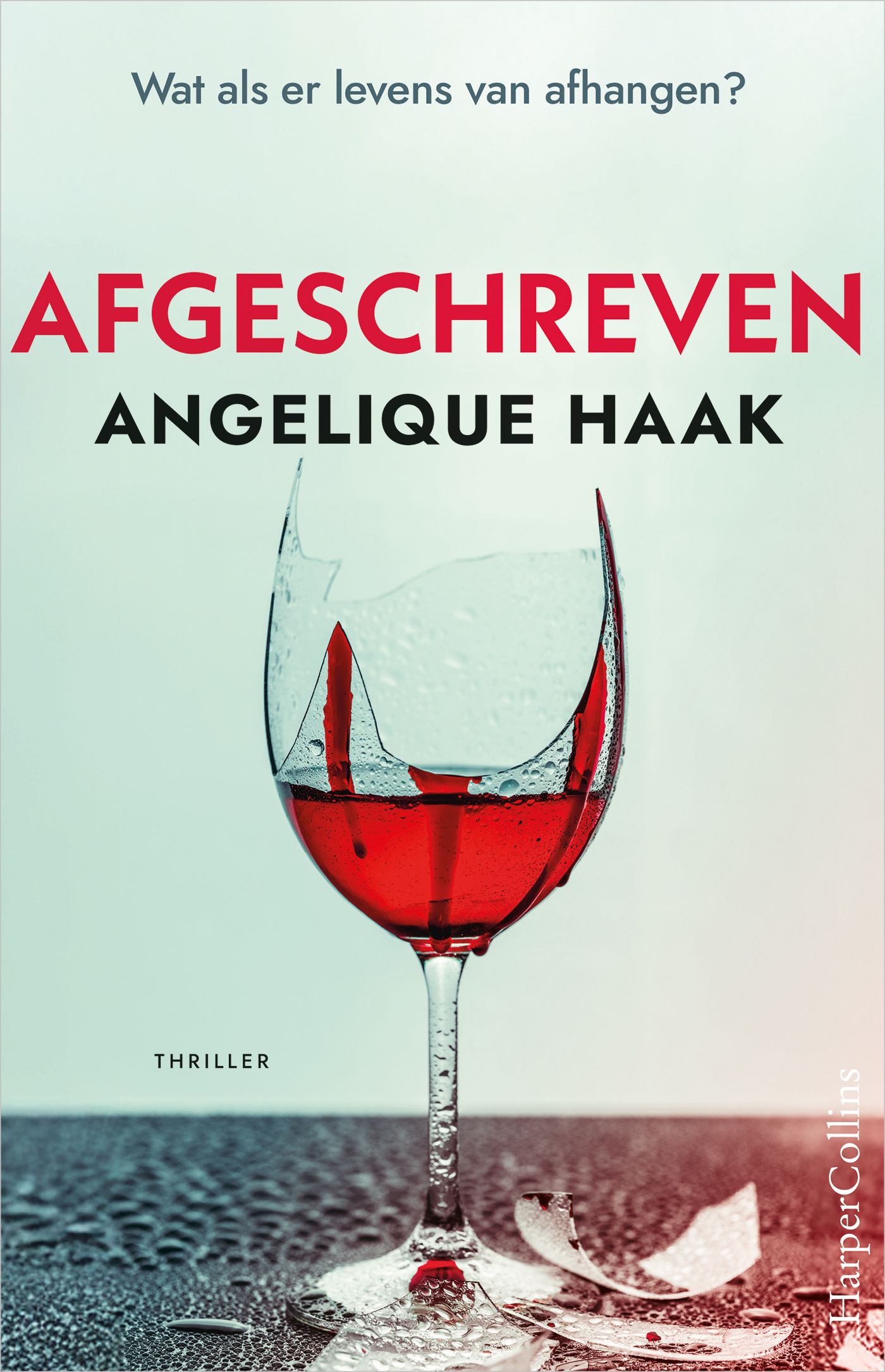 Omslag van Afgeschreven