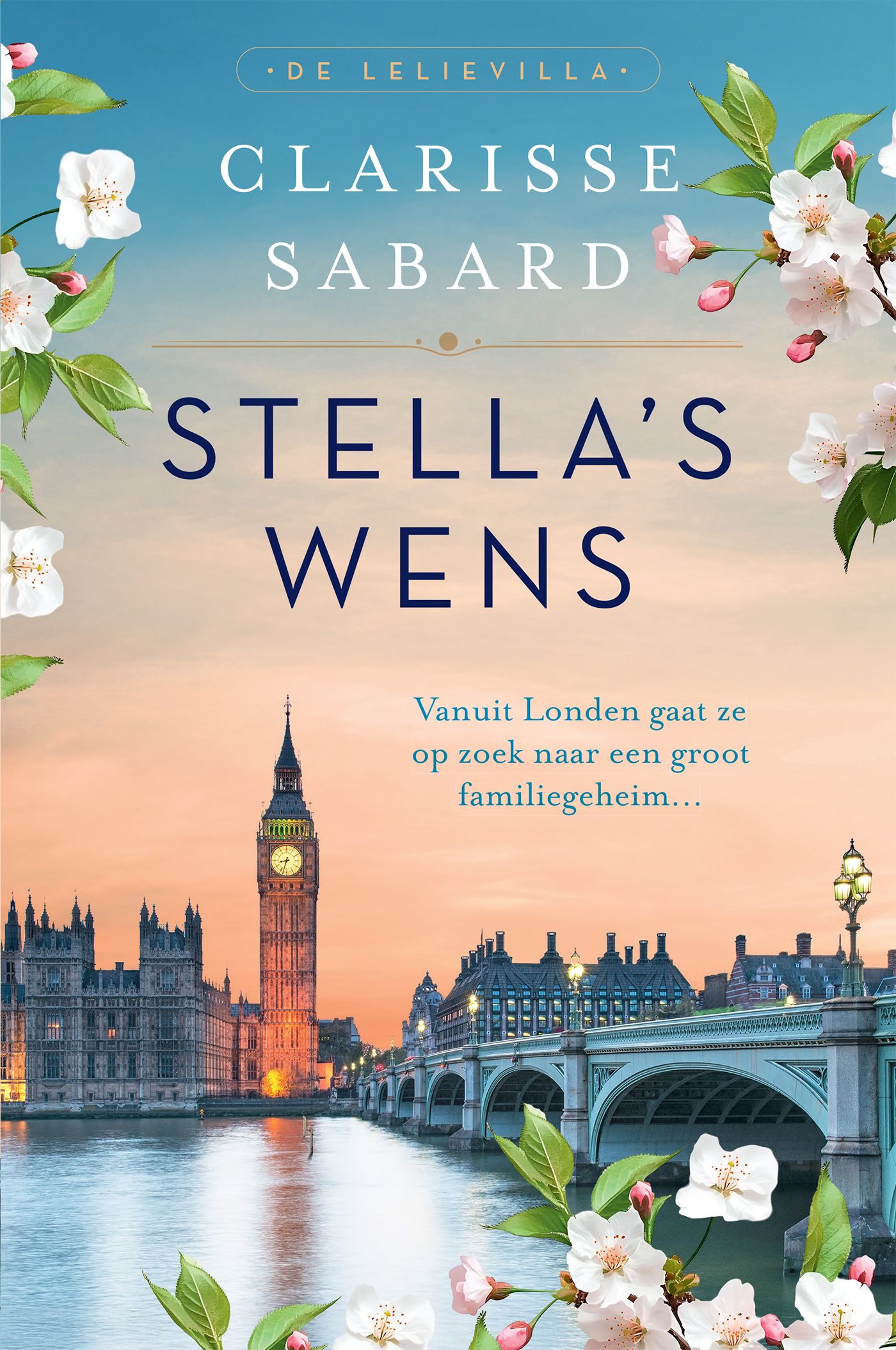 Omslag van Stella's wens