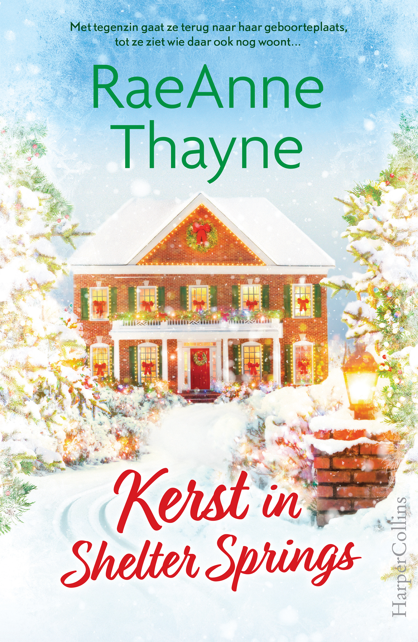 Omslag van Kerst in Shelter Springs
