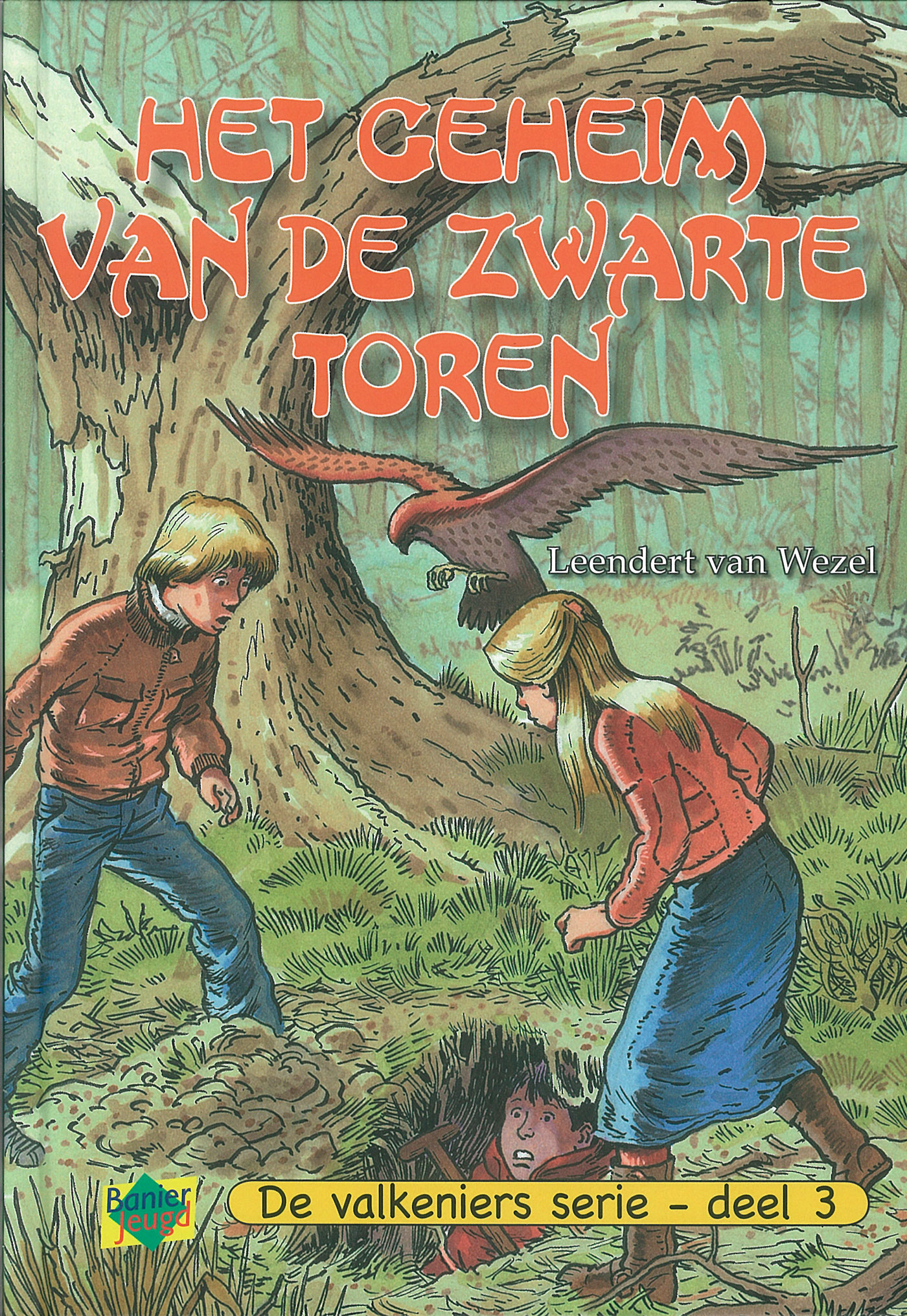 Omslag van Het geheim van de zwarte toren