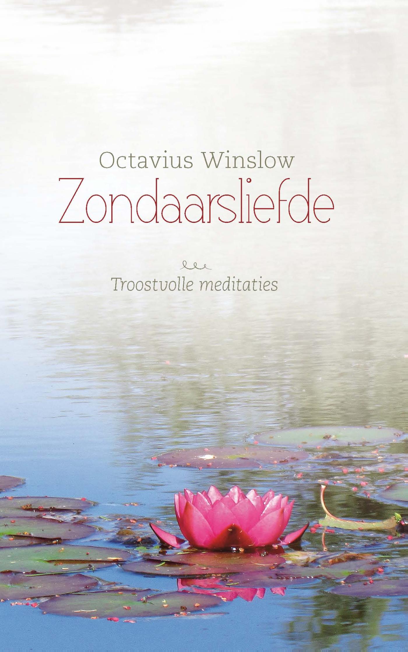 Omslag van Zondaarsliefde