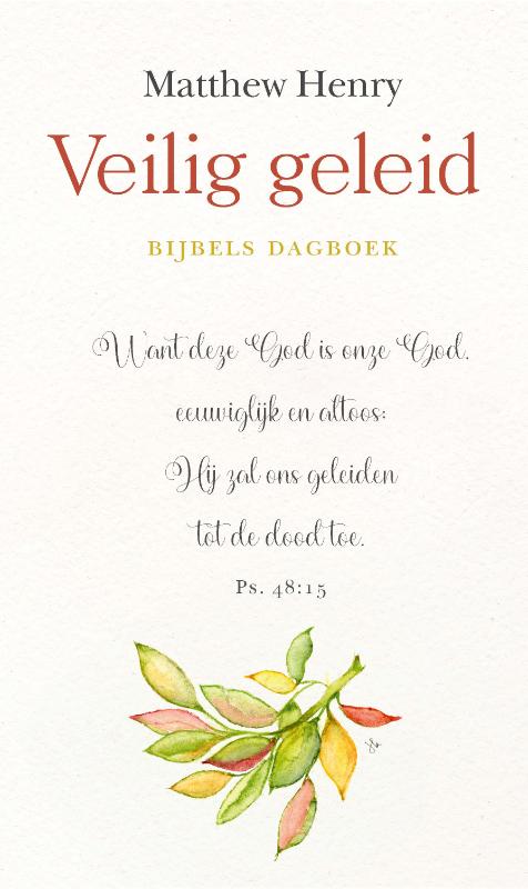 Omslag van Veilig geleid