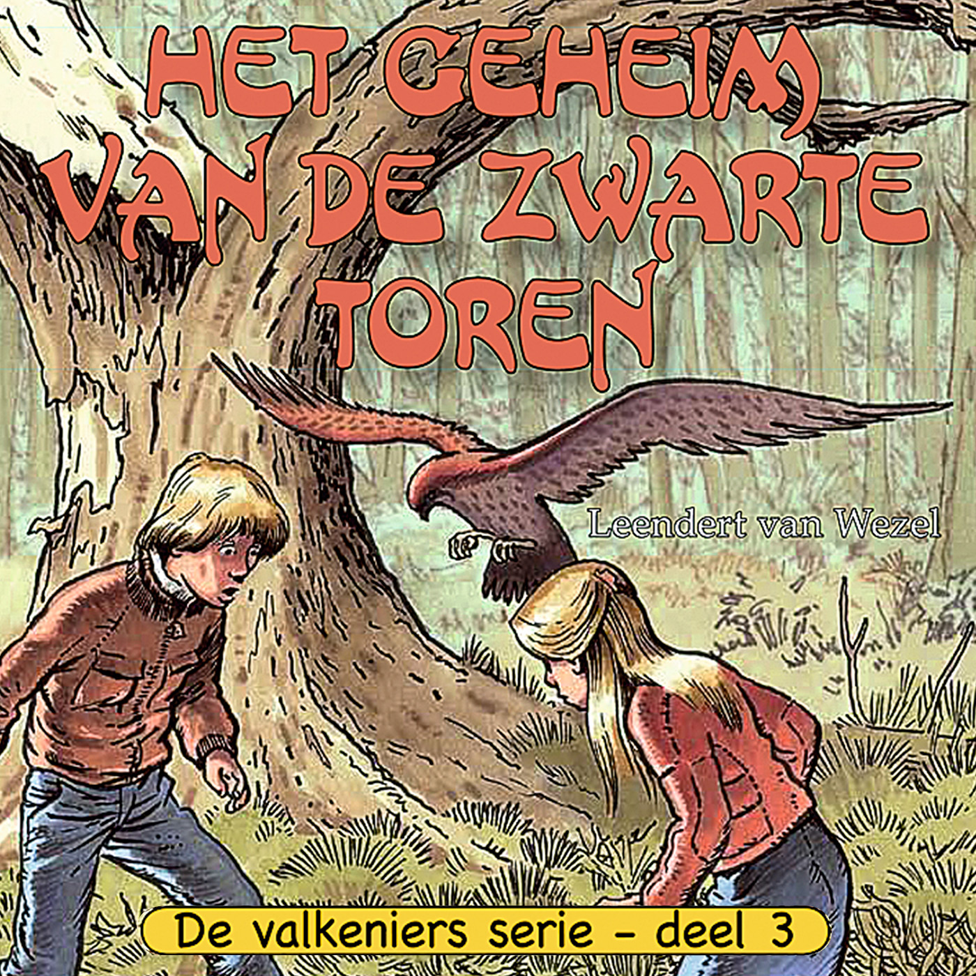 Omslag van Het geheim van de zwarte toren
