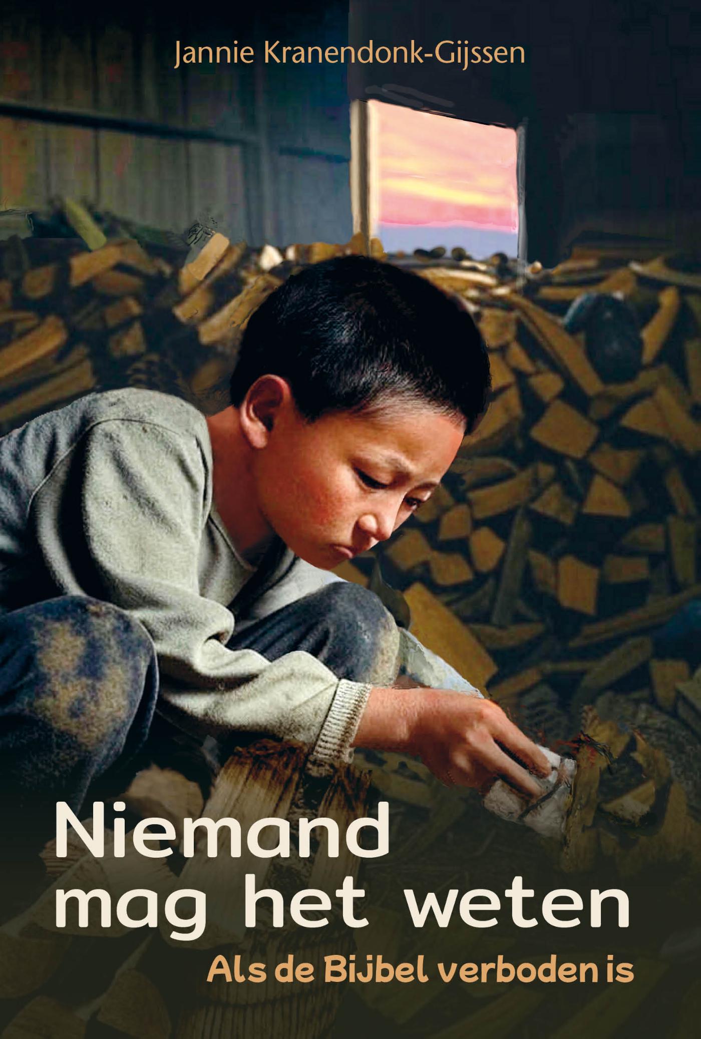 Omslag van Niemand mag het weten