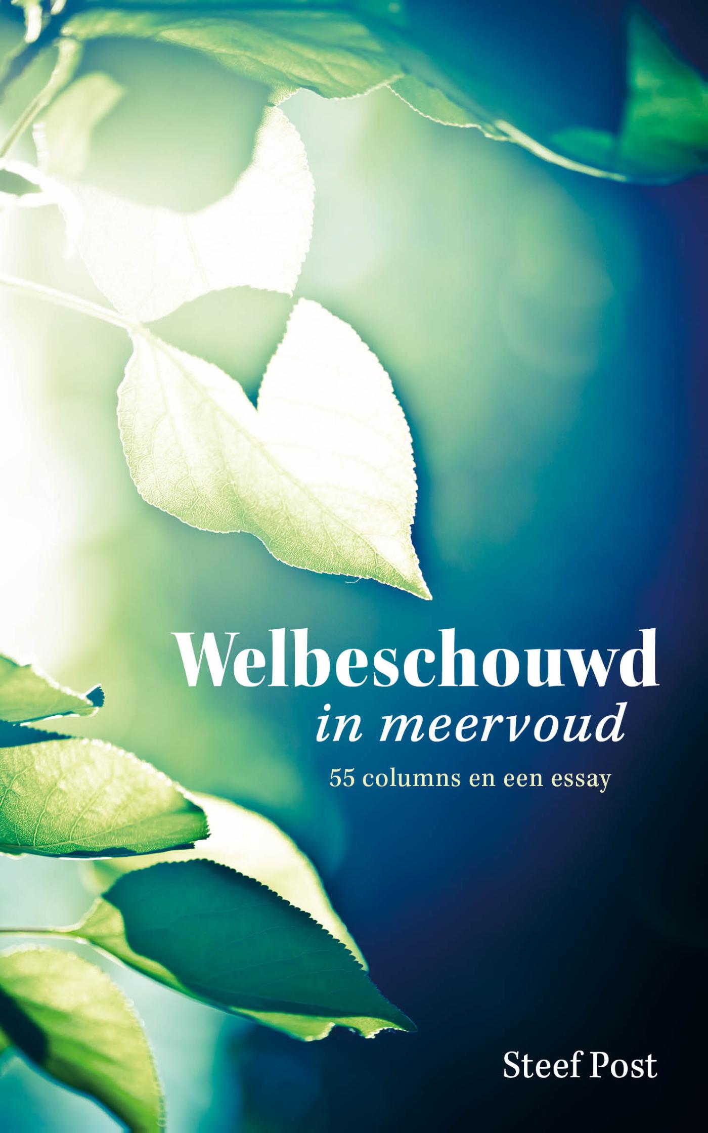 Omslag van Welbeschouwd in meervoud