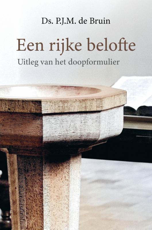 Omslag van Een rijke belofte