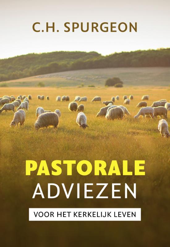 Omslag van Pastorale adviezen