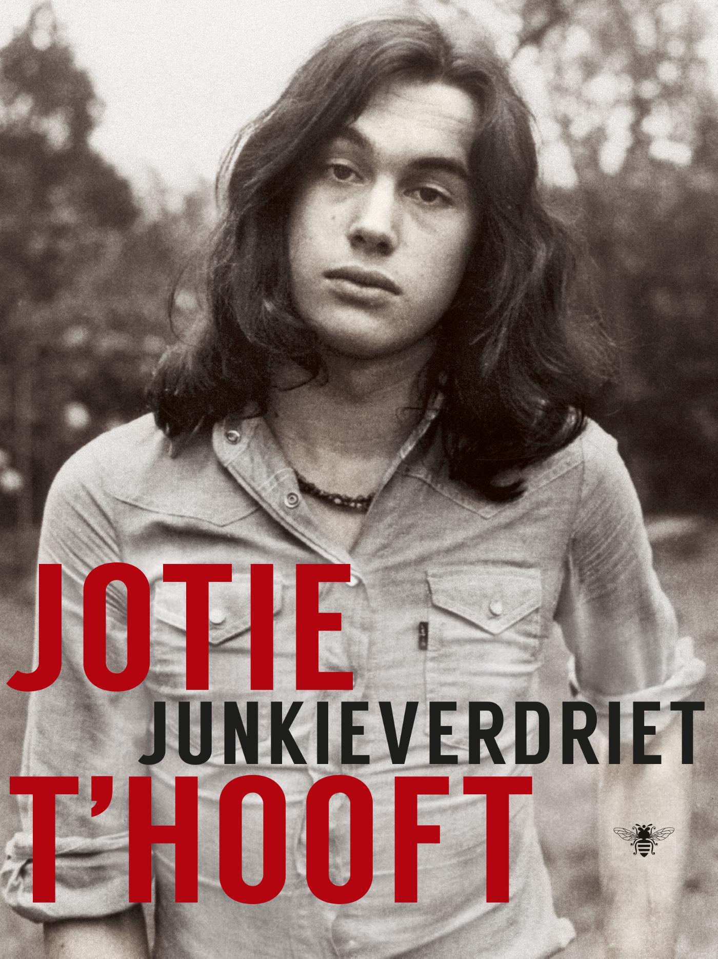 Omslag van Junkieverdriet