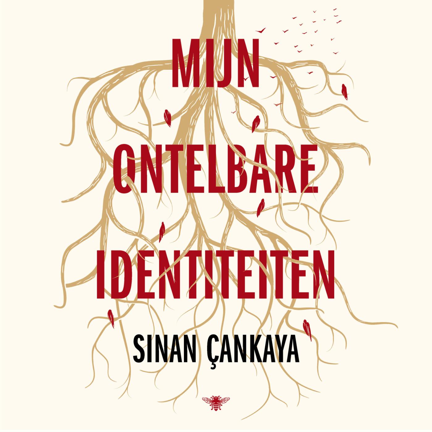 Omslag van Mijn ontelbare identiteiten