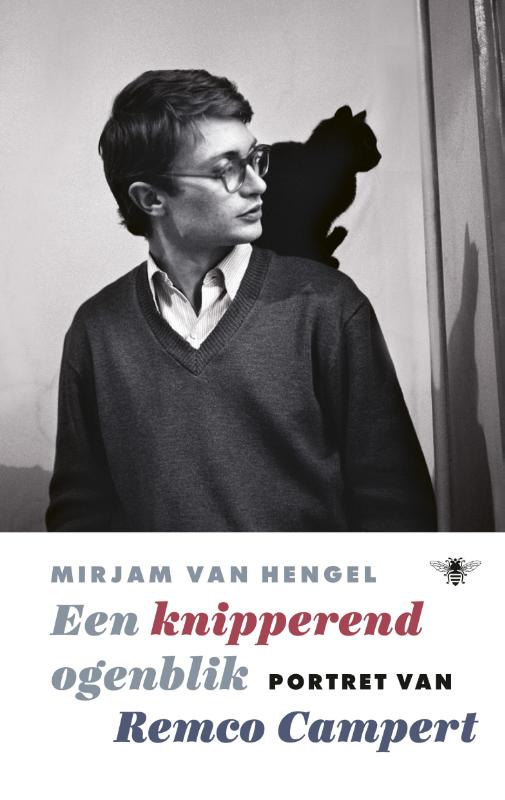 Omslag van Een knipperend ogenblik