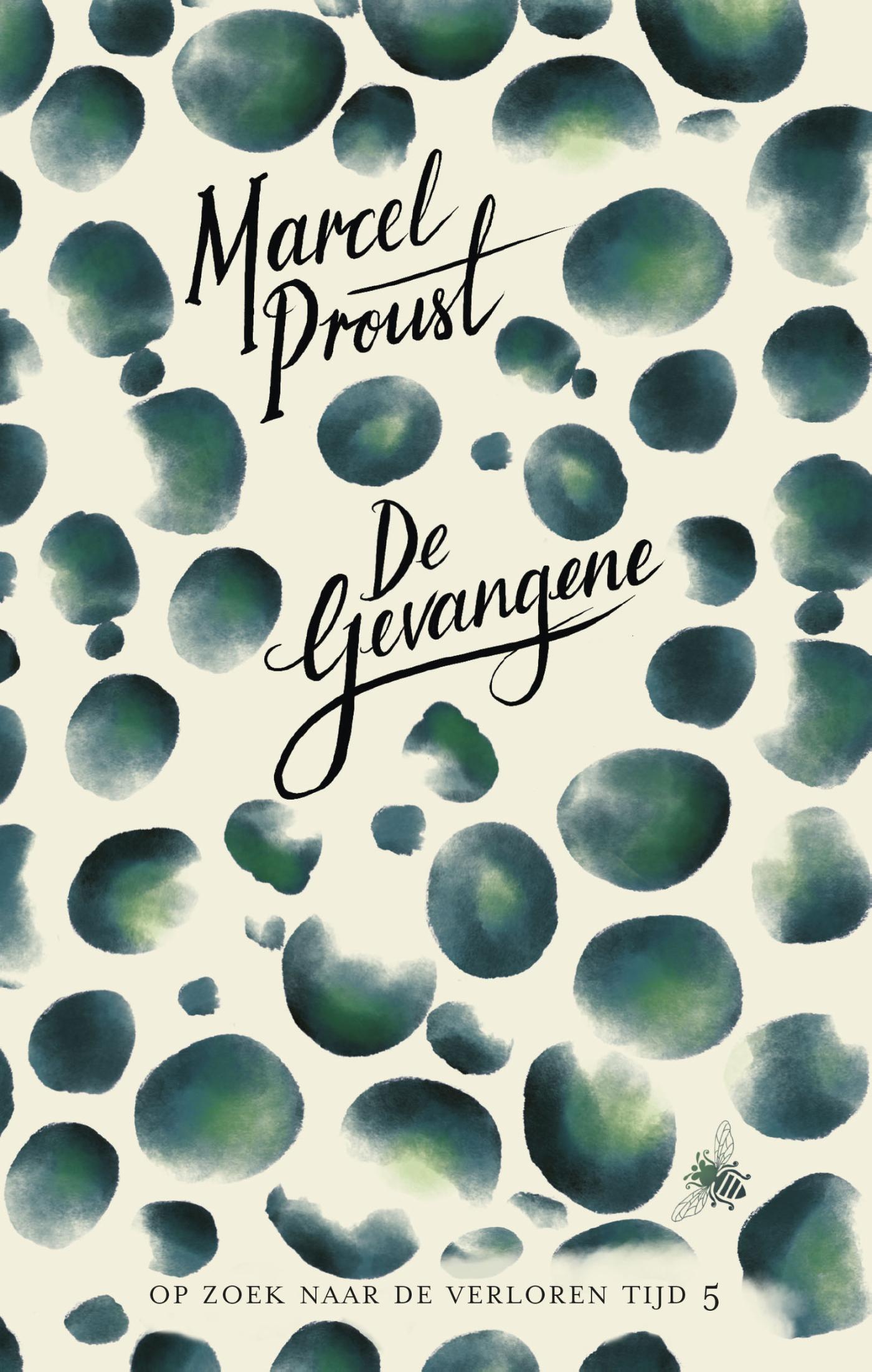 Omslag van De gevangene