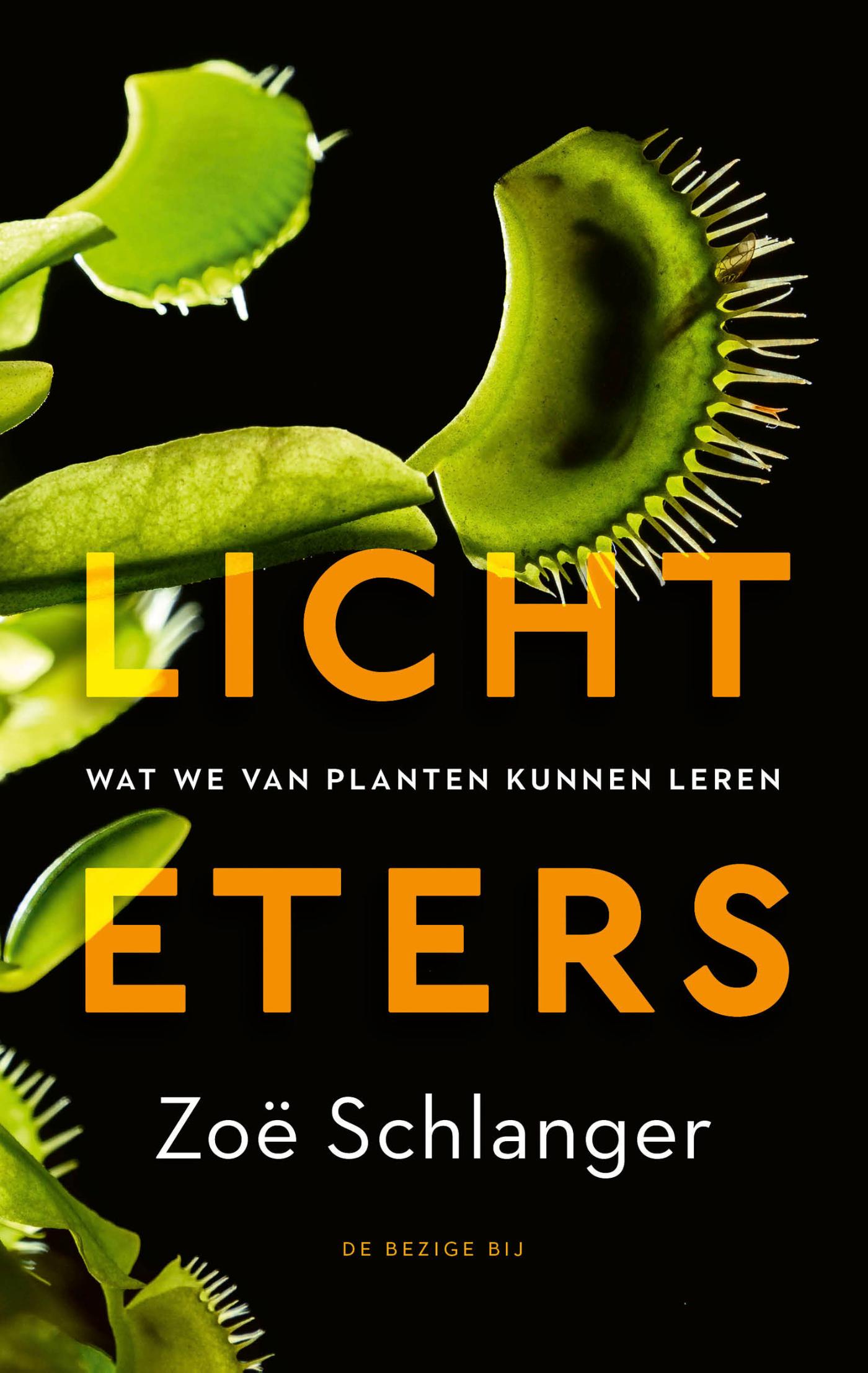 Omslag van Lichteters