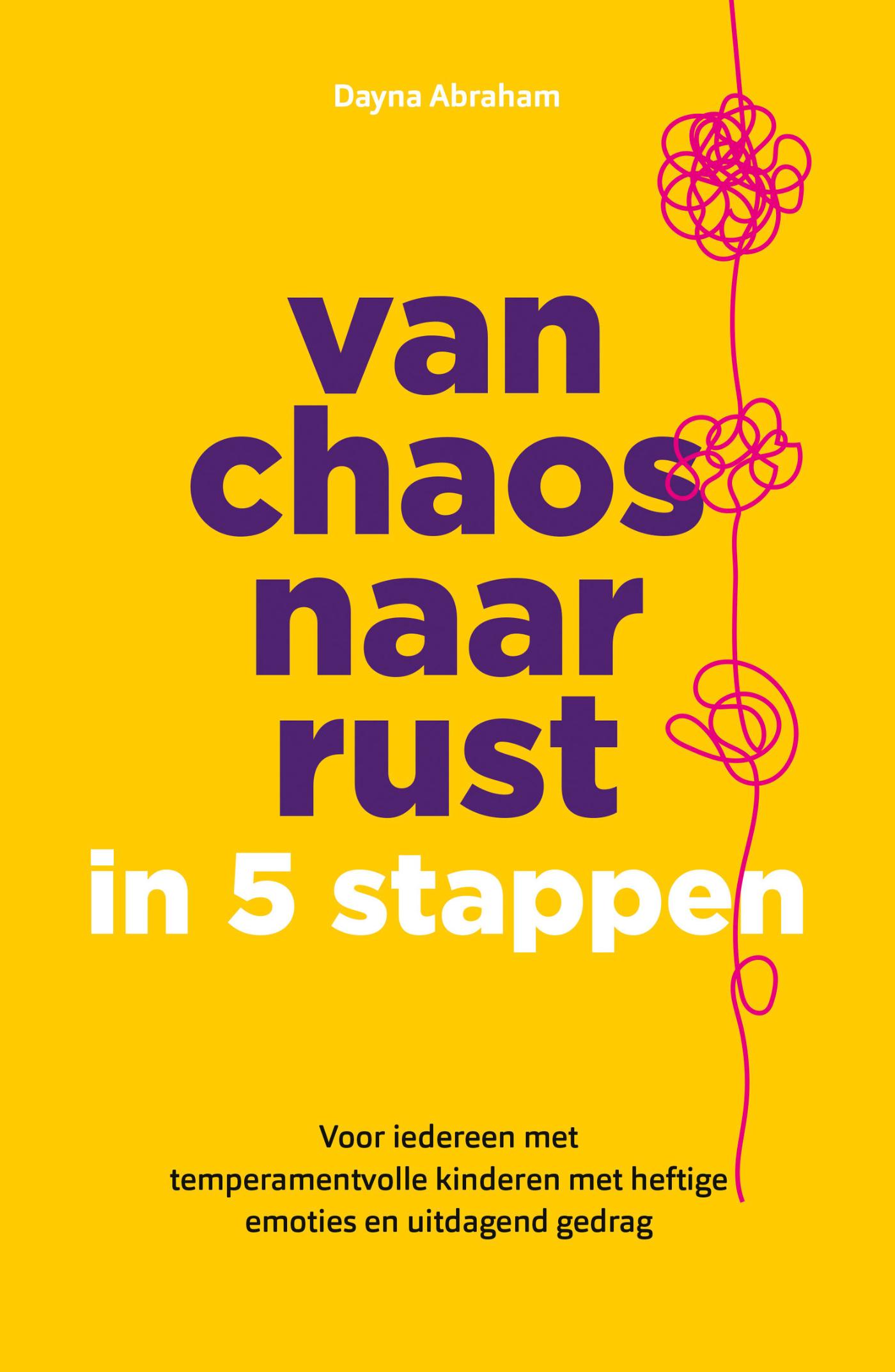 Omslag van Van chaos naar rust