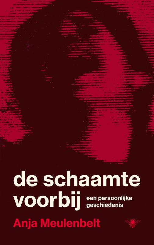 Omslag van De schaamte voorbij