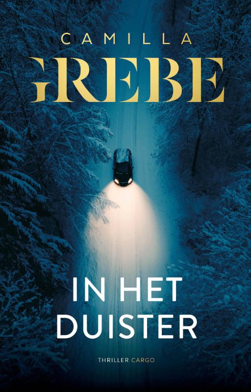 Omslag van In het duister