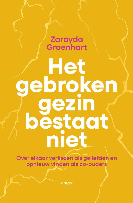 Omslag van Het gebroken gezin bestaat niet