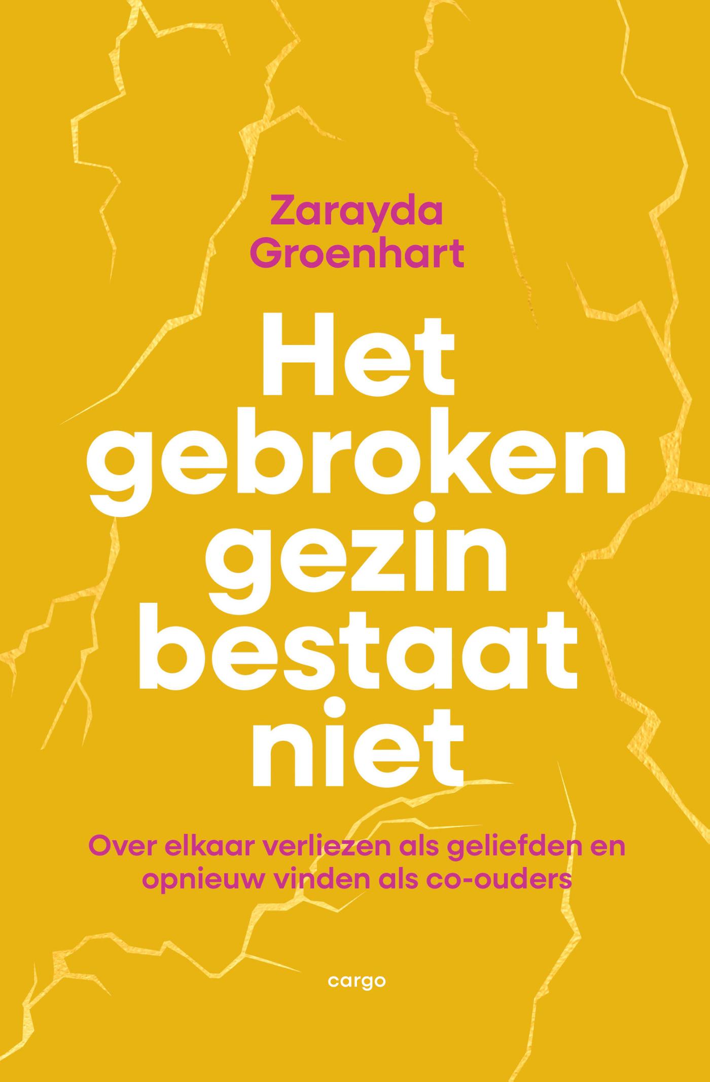 Omslag van Het gebroken gezin bestaat niet