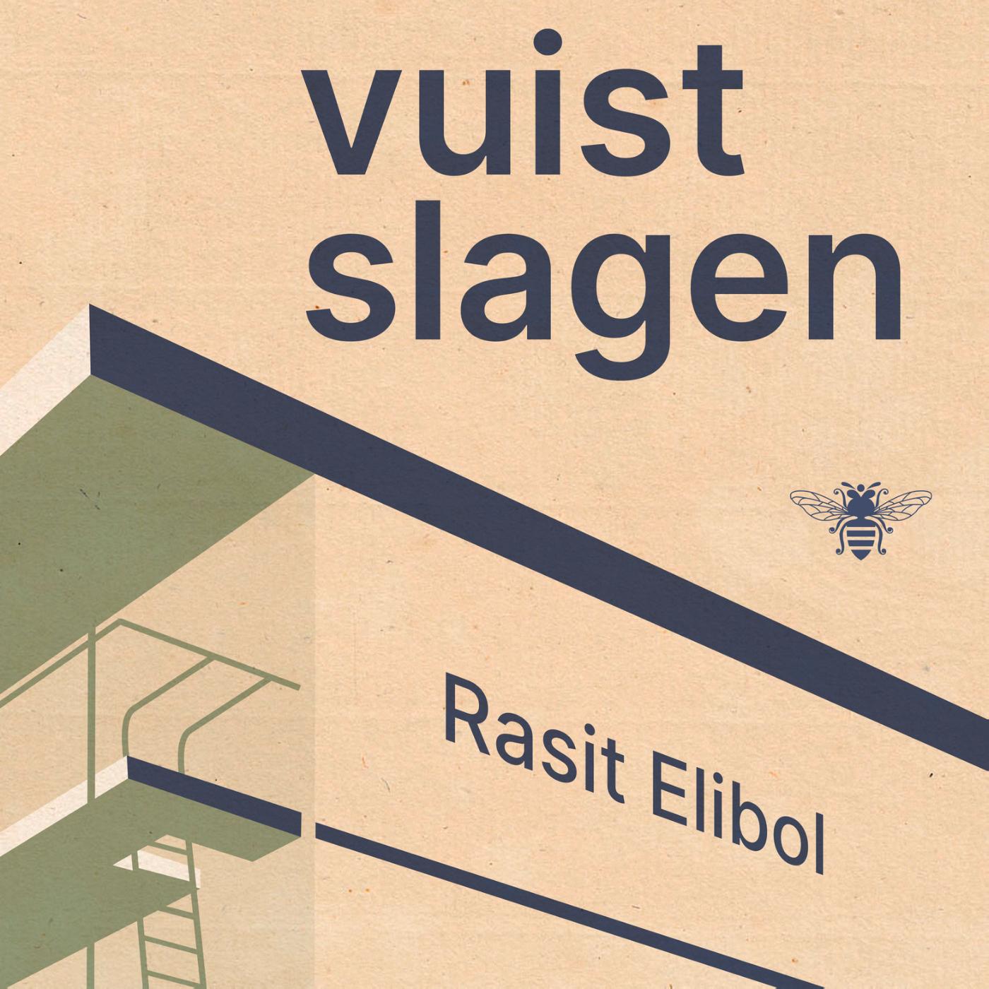 Omslag van Vuistslagen