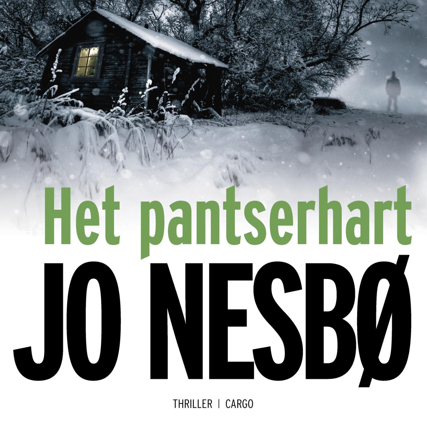Omslag van Het pantserhart