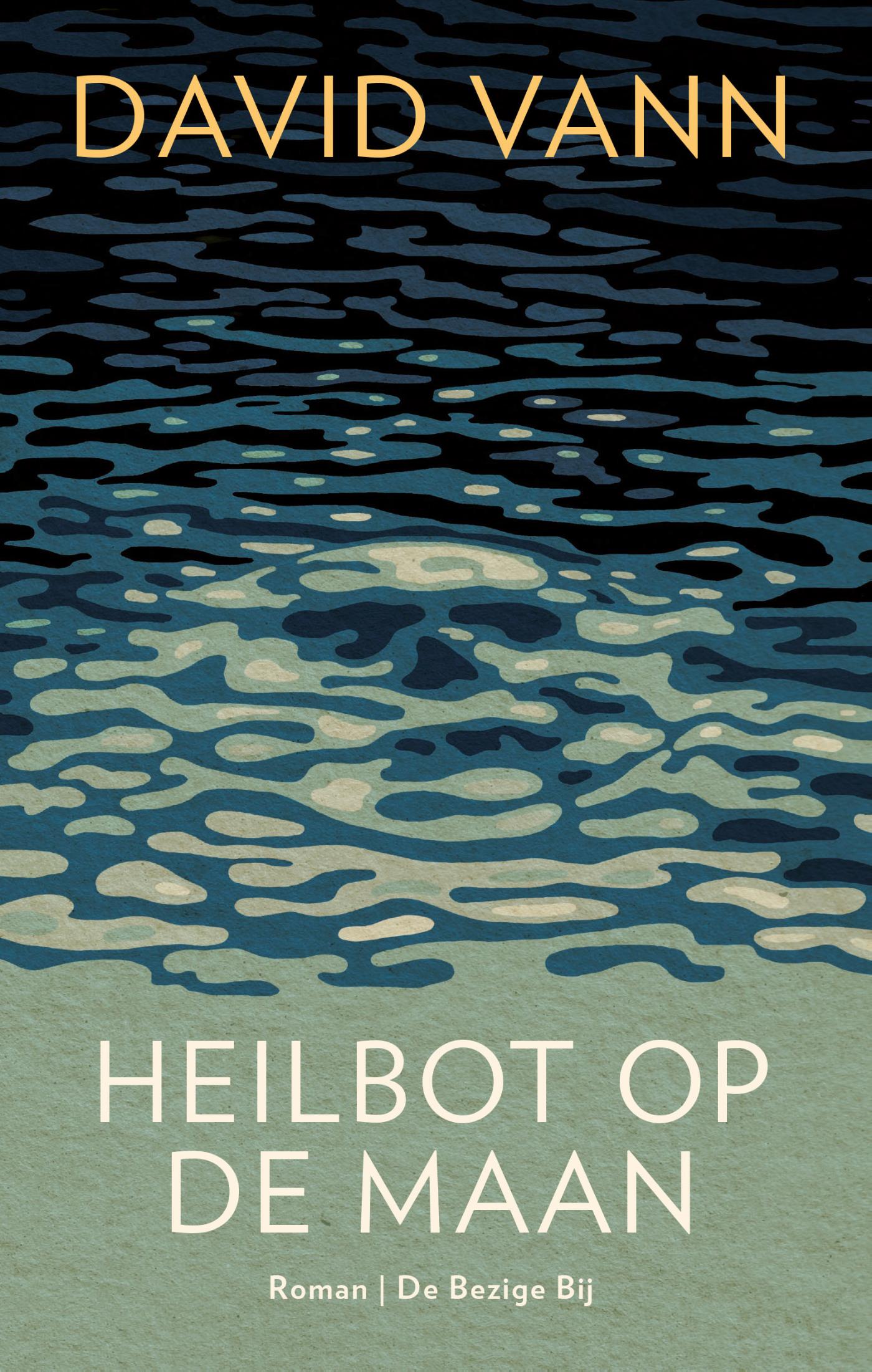 Omslag van Heilbot op de maan