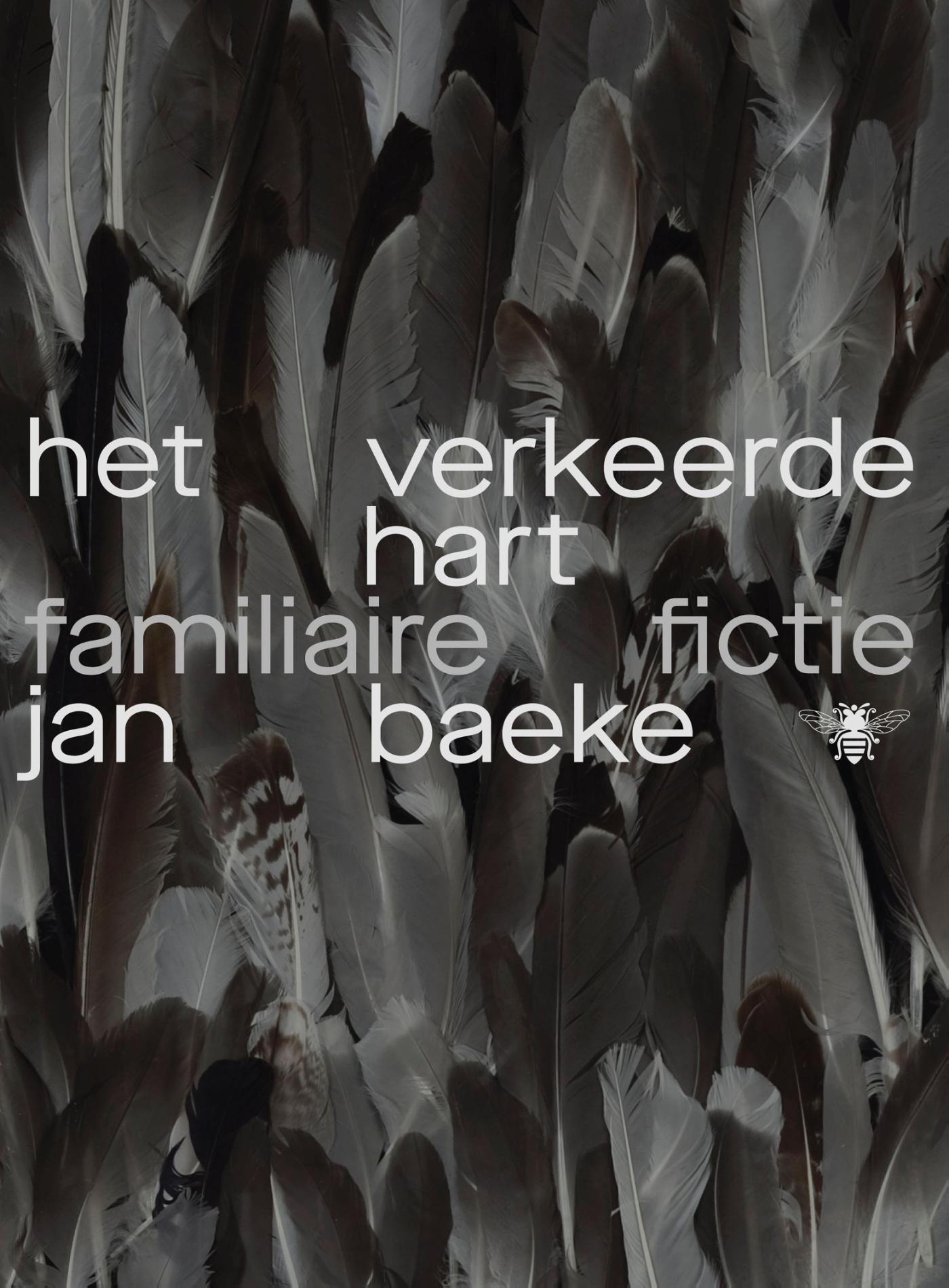 Omslag van Het verkeerde hart