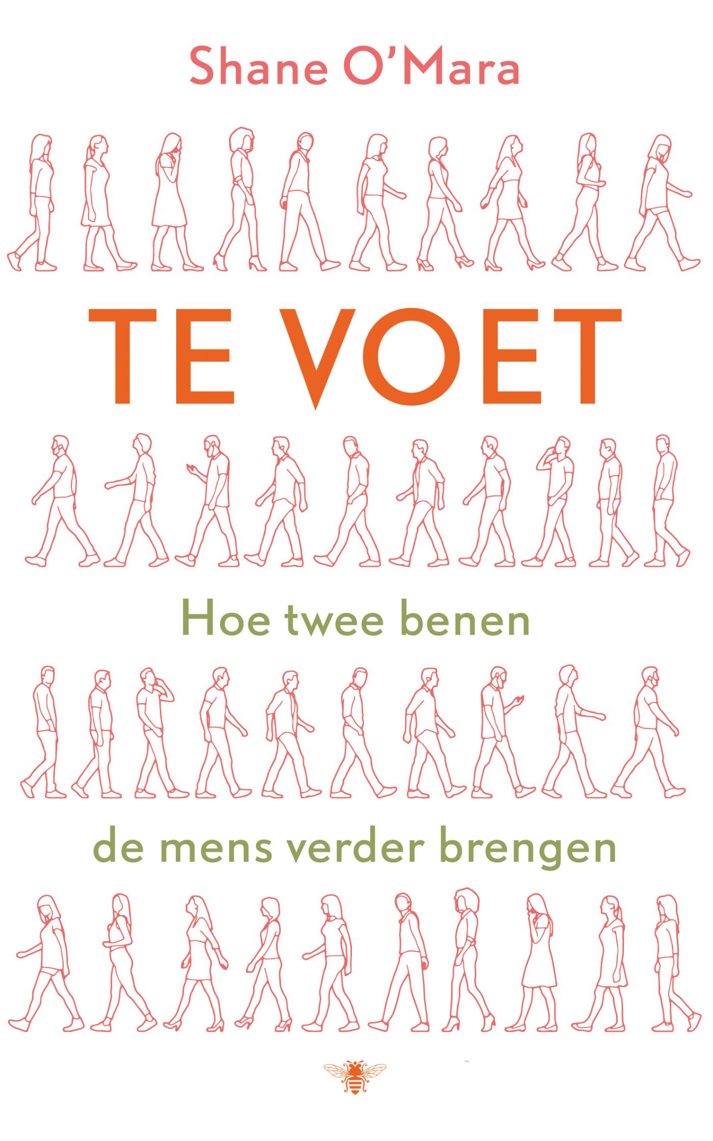 Omslag van Te voet