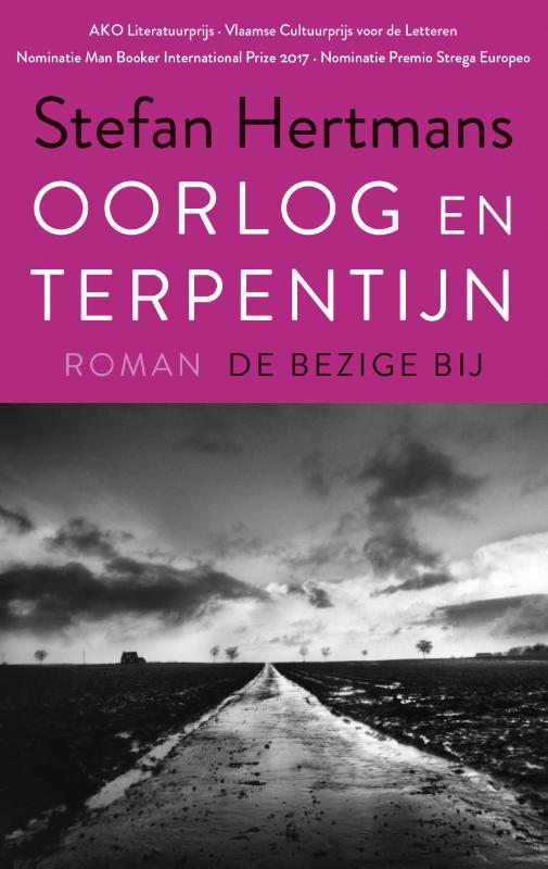 Omslag van Oorlog en terpentijn