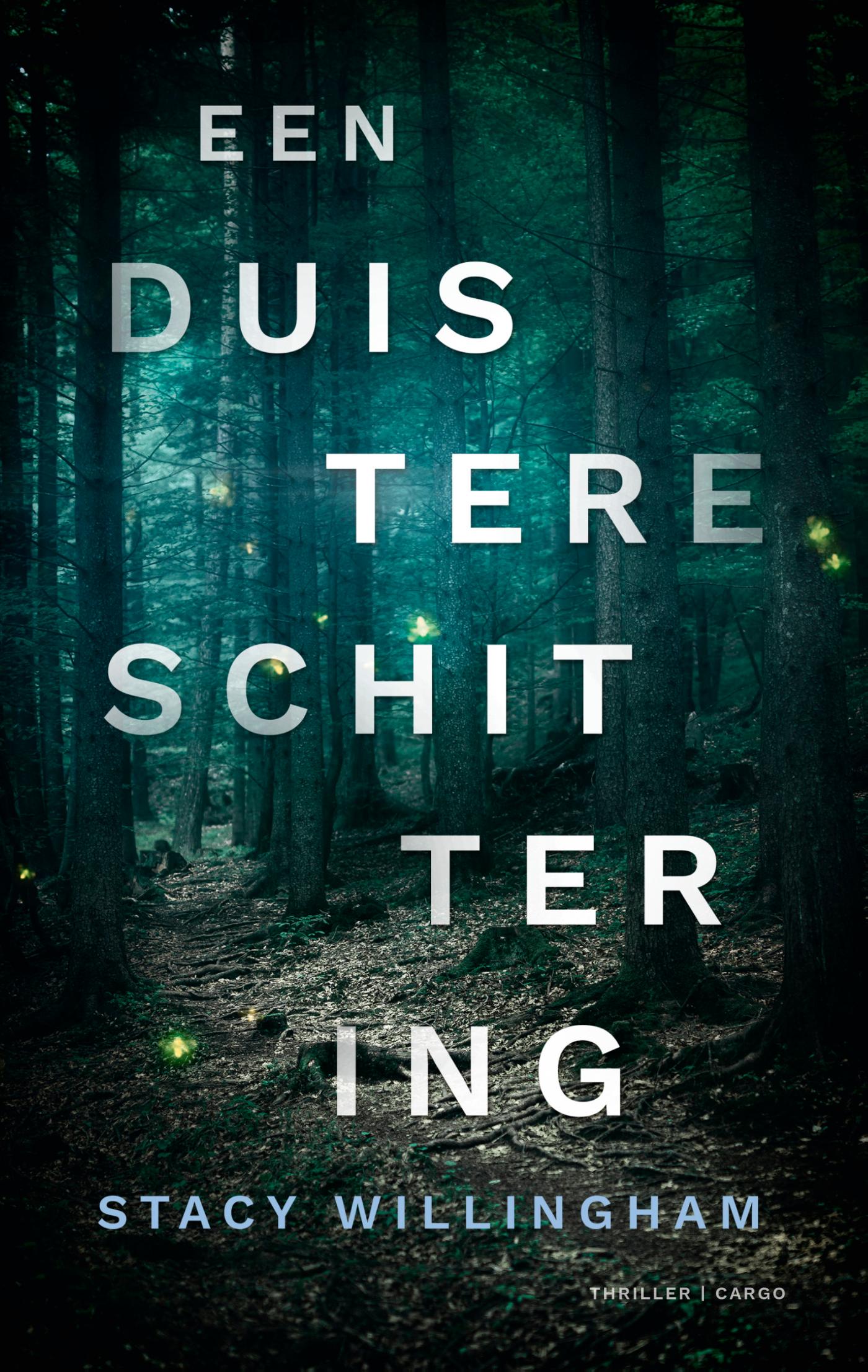 Omslag van Een duistere schittering