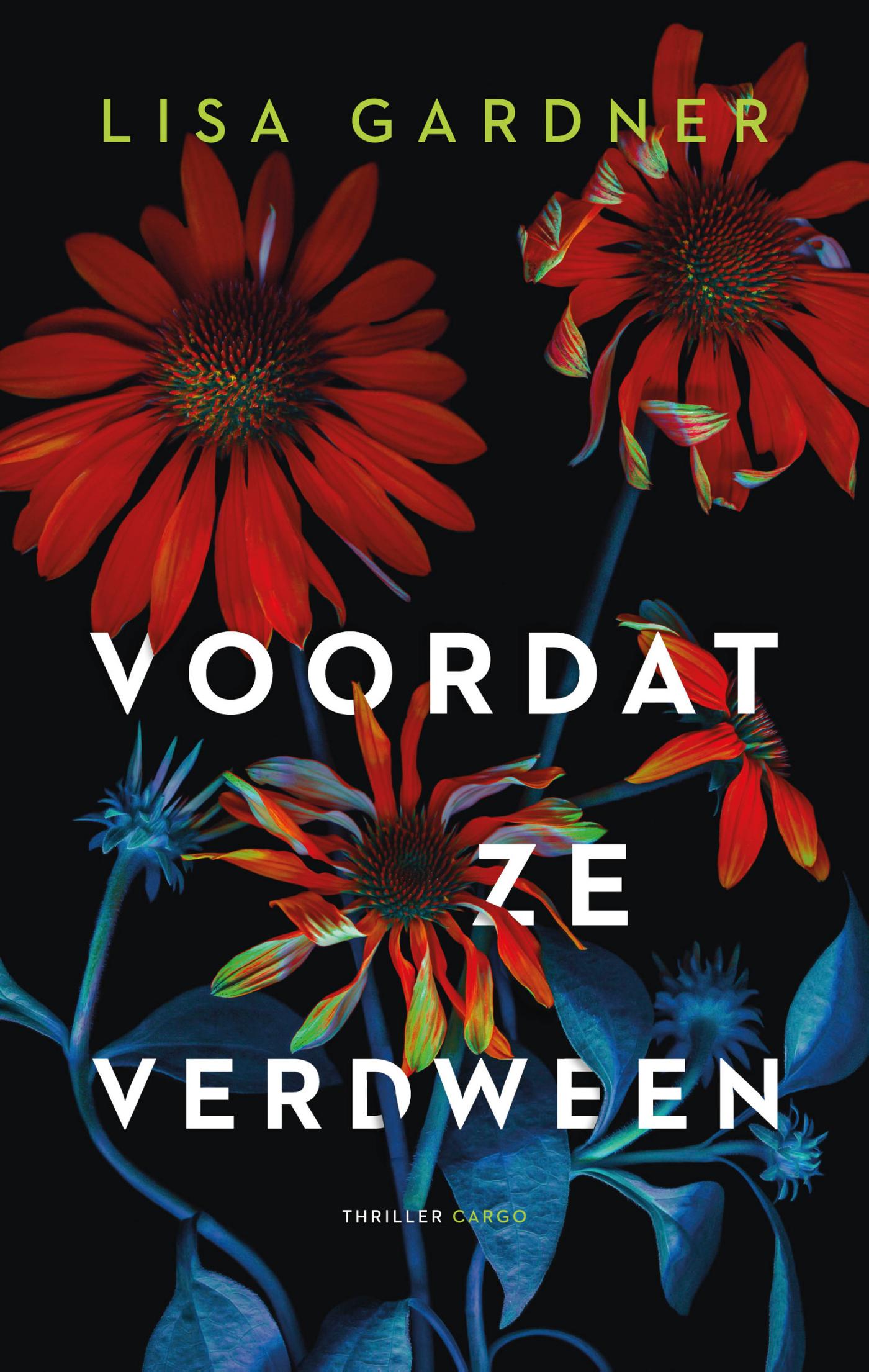 Omslag van Voordat ze verdween
