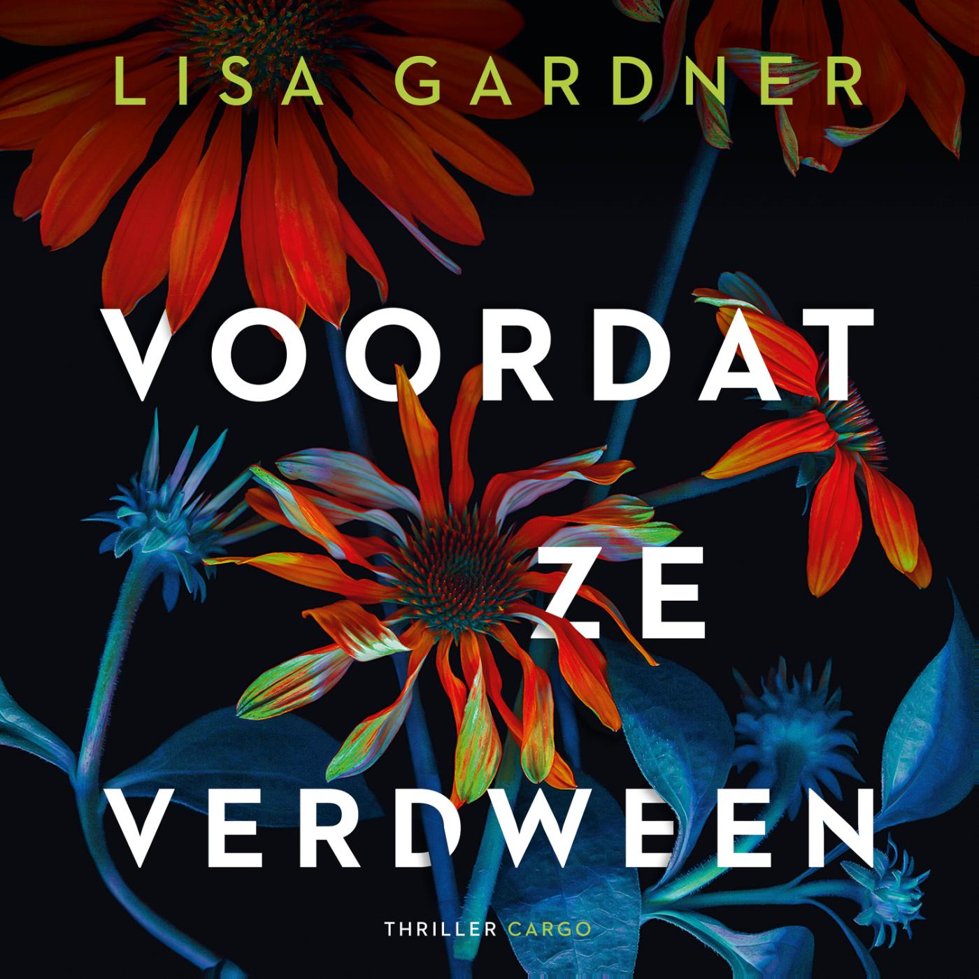 Omslag van Voordat ze verdween