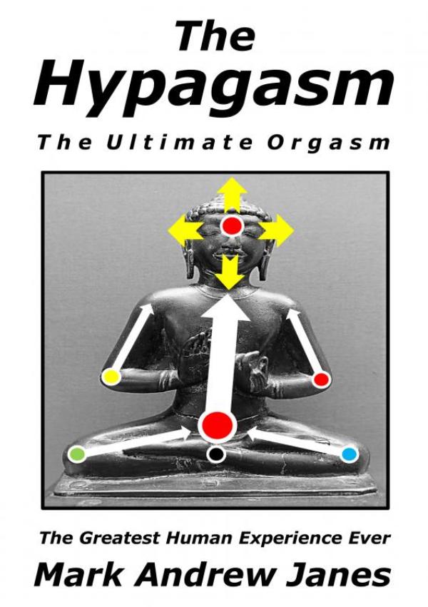 Omslag van The Hypagasm - The Ultimate Orgasm