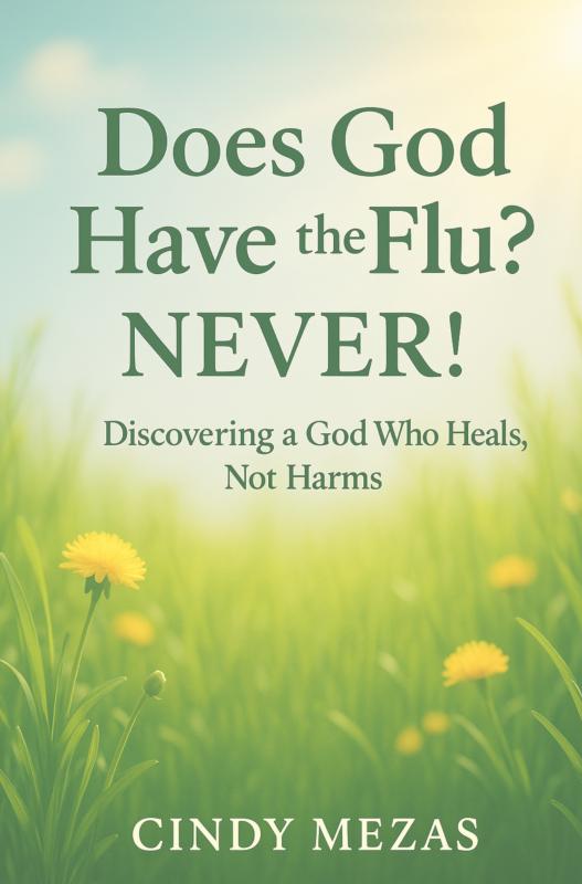 Omslag van Does God have the flu?