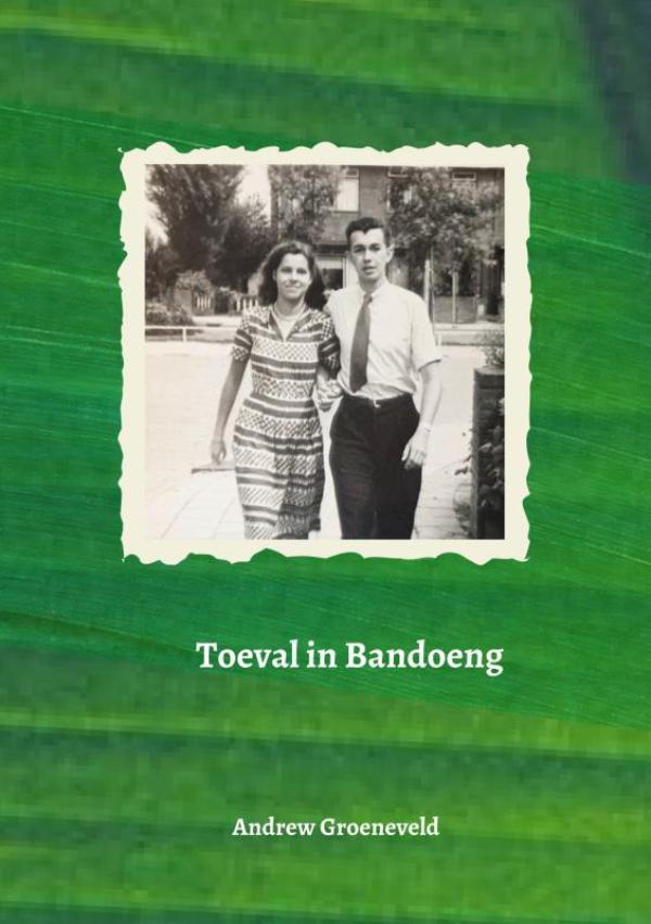 Omslag van Toeval in Bandoeng