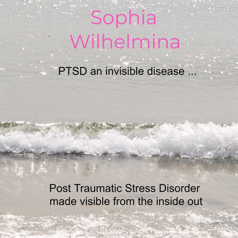 Omslag van PTSD an invisible disease ...