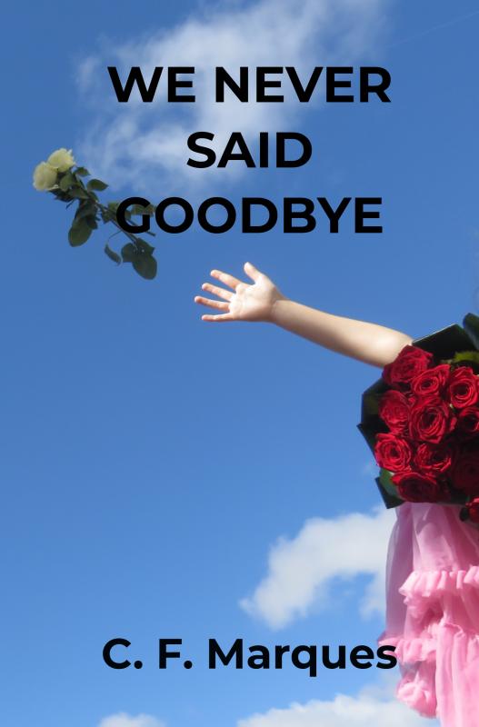 Omslag van We never said goodbye