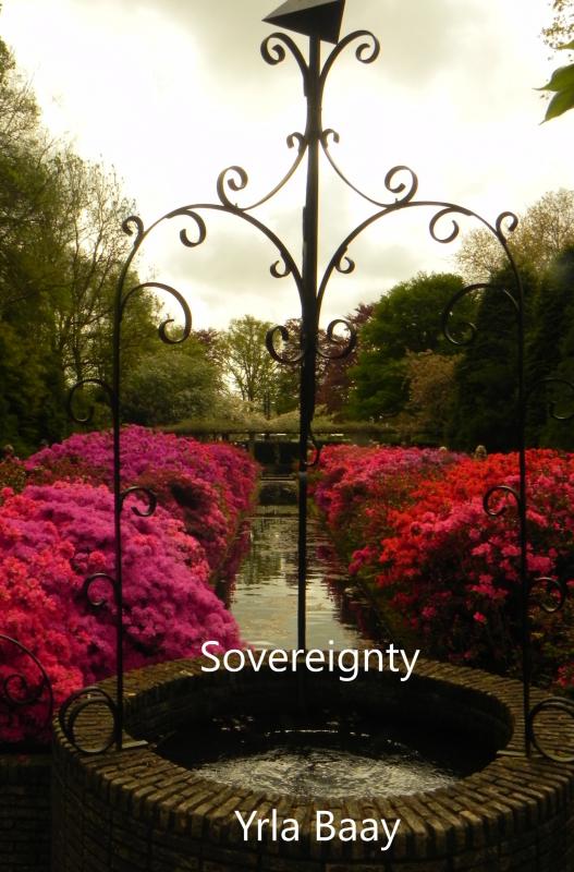 Omslag van Sovereignty