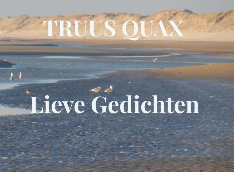 Omslag van Lieve Gedichten