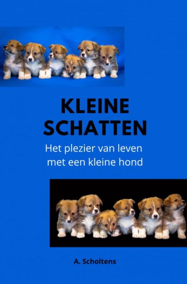 Omslag van Kleine Schatten