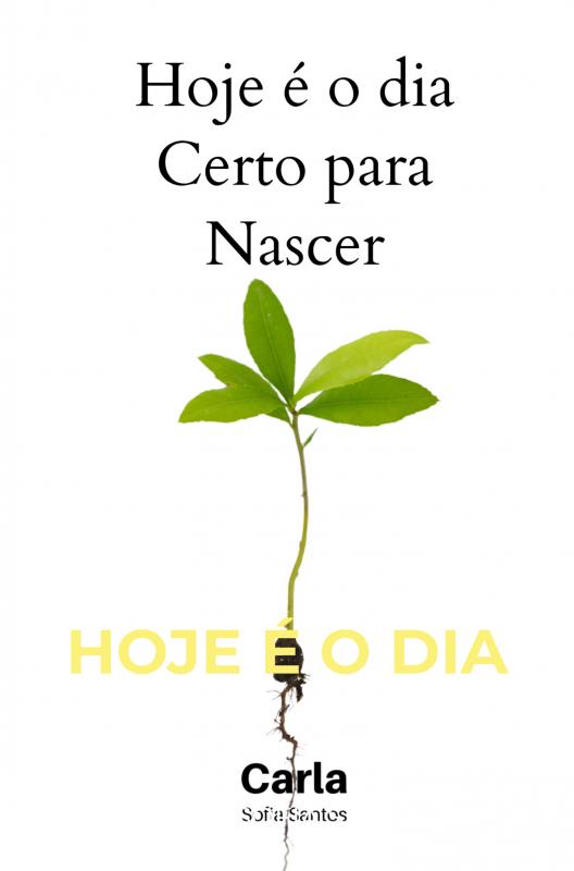Omslag van Hoje é o dia Certo para Nascer