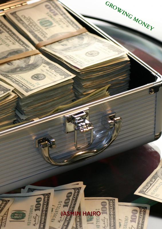 Omslag van Growing money