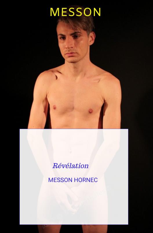 Omslag van Messon